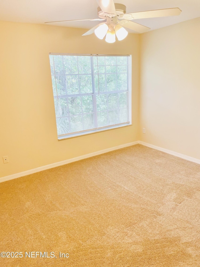 13703 Richmond Park Dr N Unit 2705, Jacksonville, FL 32224 - photo 13