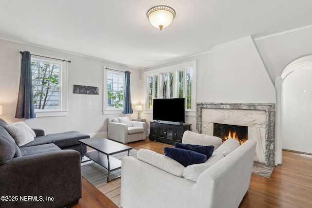 4949 Fremont St, Jacksonville, FL 32210 - living room featuring wood finished floors and a fireplace