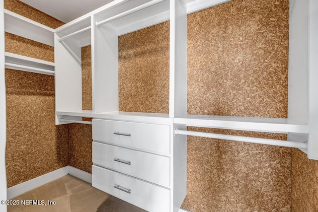 2325 Seminole Rd, Atlantic Beach, FL 32233 - view of walk in closet