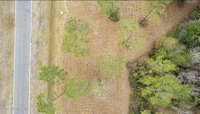 10123 Breakaway Ct, Jacksonville, FL 32219 - photo 12