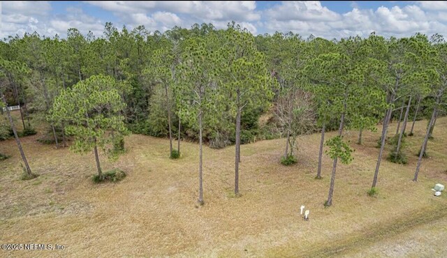 10123 Breakaway Ct, Jacksonville, FL 32219 - photo 10