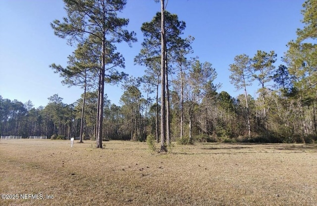 10123 Breakaway Ct, Jacksonville, FL 32219 - photo 6