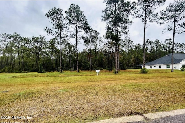 10123 Breakaway Ct, Jacksonville, FL 32219 - photo 2