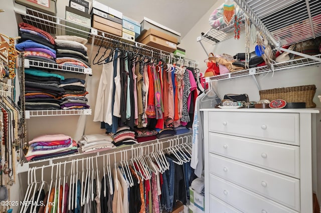 view of walk in closet