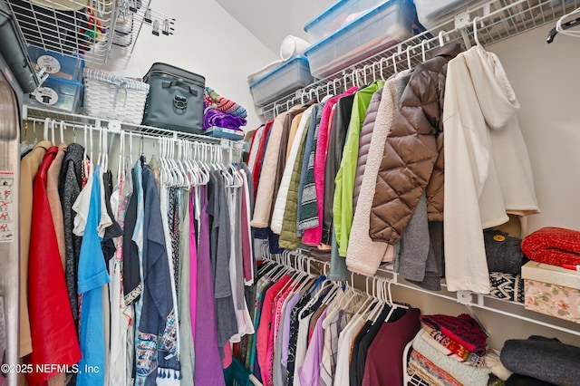 view of walk in closet