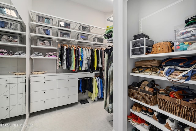 742 Honey Blossom Rd, Saint Johns, FL 32259 - walk in closet featuring carpet flooring