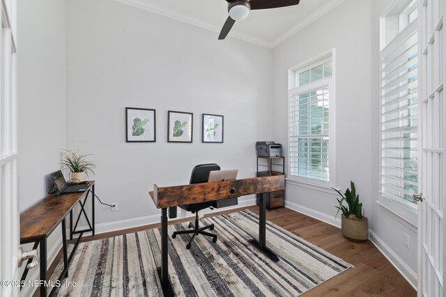 742 Honey Blossom Rd, Saint Johns, FL 32259 - office space with crown molding, baseboards, wood finished floors, and a wealth of natural light