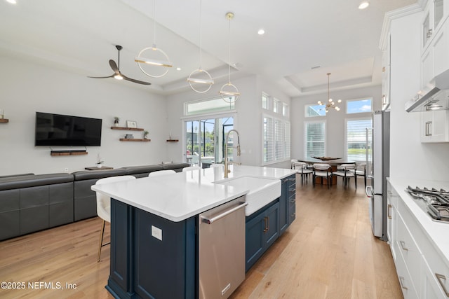 742 Honey Blossom Rd, Saint Johns, FL 32259 - kitchen with blue cabinetry, a sink, a raised ceiling, stainless steel appliances, and light wood-style flooring