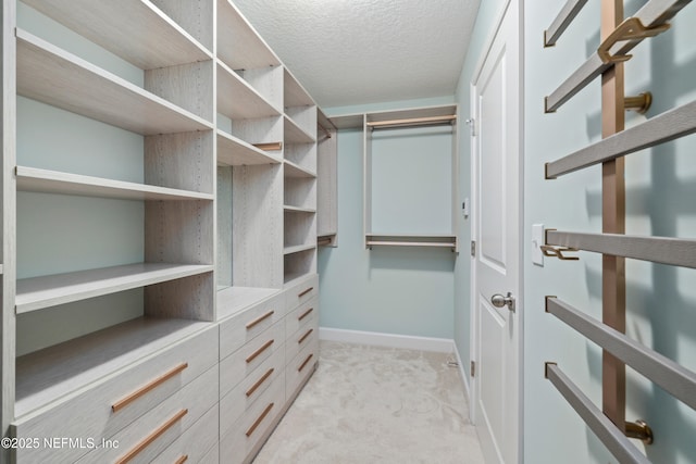 spacious closet with light carpet