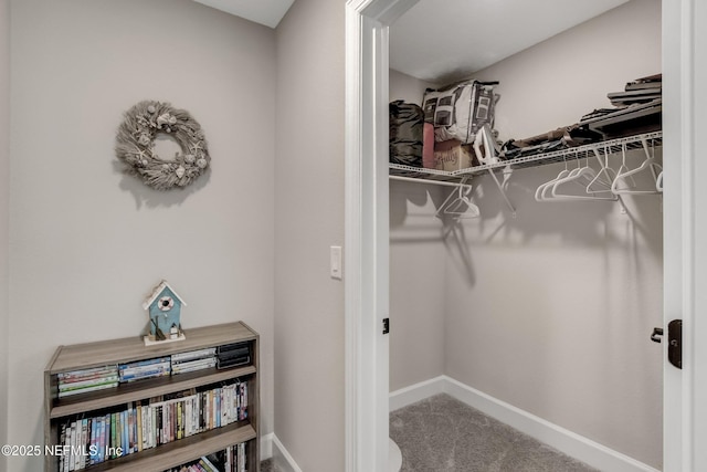 85325 Champlain Dr, Fernandina Beach, FL 32034 - spacious closet with carpet flooring