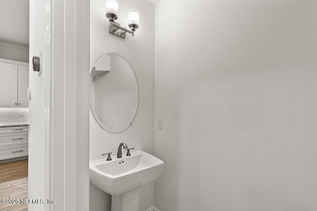 109 Rimini Ct, Jacksonville, FL 32225 - bathroom with a sink and wood finished floors