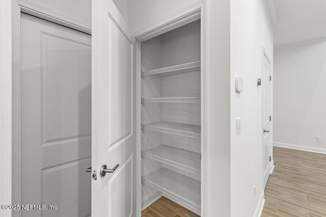 109 Rimini Ct, Jacksonville, FL 32225 - view of closet