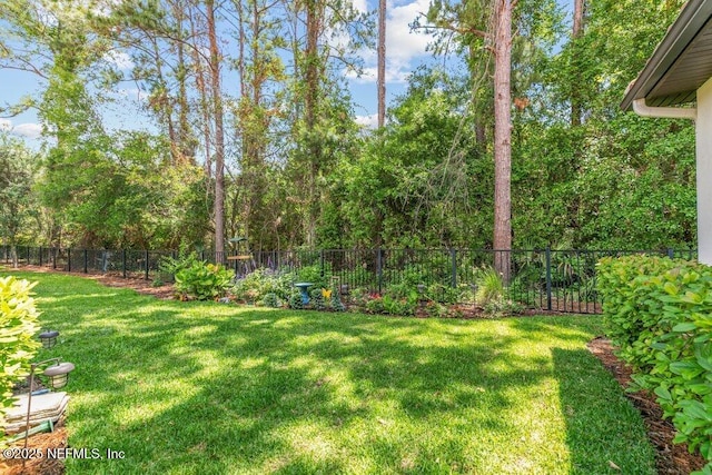 109 Rimini Ct, Jacksonville, FL 32225 - view of yard