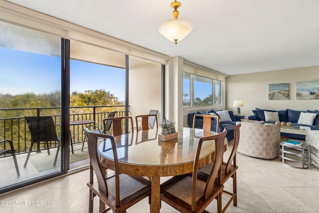 1107 Beach Walker Rd Unit 1107, Amelia Island, FL 32034 - dining space featuring light tile patterned floors