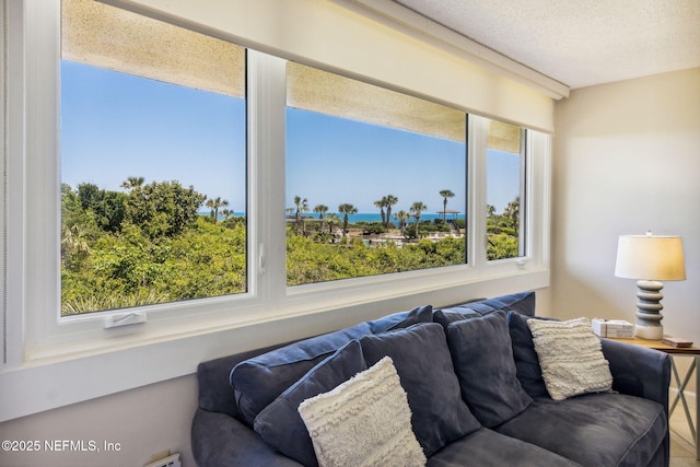 1107 Beach Walker Rd Unit 1107, Amelia Island, FL 32034 - living area with a textured ceiling