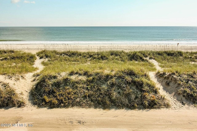1107 Beach Walker Rd Unit 1107, Amelia Island, FL 32034 - water view
