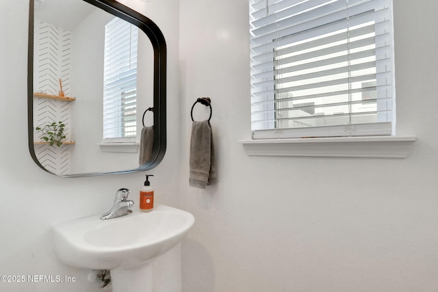 55 Forest Edge Dr, Saint Johns, FL 32259 - photo 23
