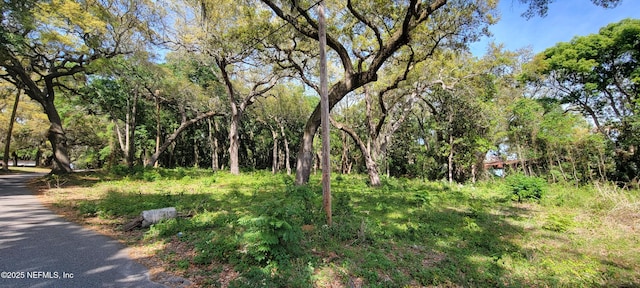 0 Apollo Ave, Jacksonville, FL 32226 - photo 2