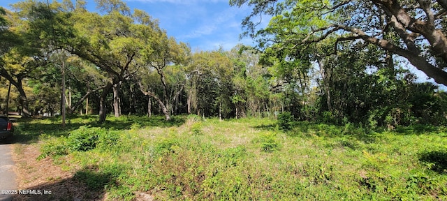 0 Apollo Ave, Jacksonville, FL 32226 - photo 3