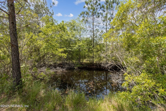 view of water feature featuring a view of trees