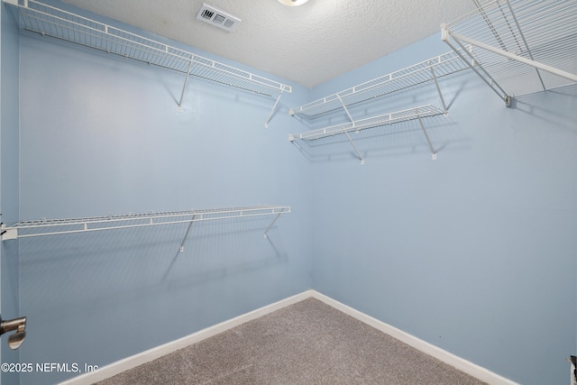 walk in closet with carpet and visible vents