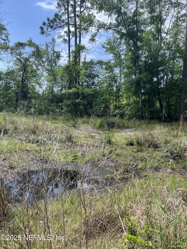 5950 Sweet Moody Rd, Green Cove Springs, FL 32043