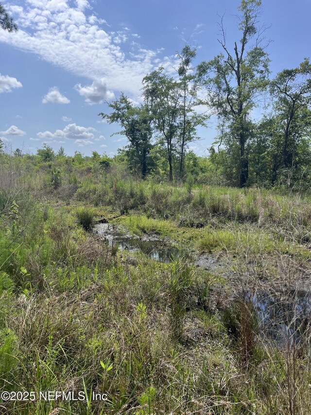 5950 Sweet Moody Rd, Green Cove Springs, FL 32043