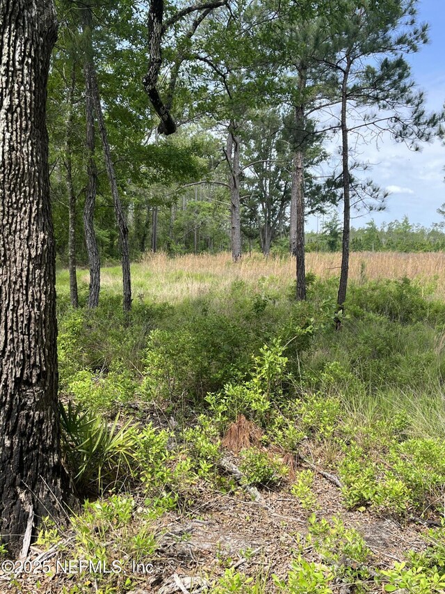 5950 Sweet Moody Rd, Green Cove Springs, FL 32043