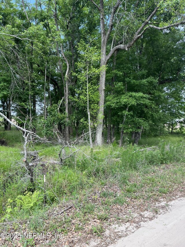 5950 Sweet Moody Rd, Green Cove Springs, FL 32043
