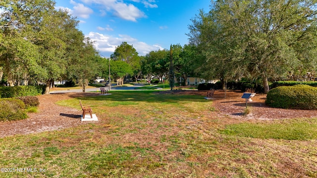 9365 Middlebury Glen Ct, Jacksonville, FL 32256 - photo 94