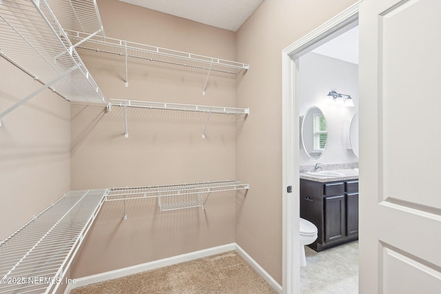2968 Ravine Hill Dr, Middleburg, FL 32068 - walk in closet featuring a sink and carpet