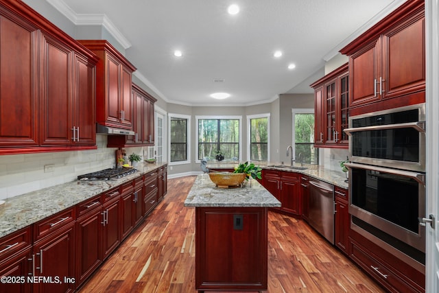725 Carthage Pl, Saint Johns, FL 32259 - kitchen with dark brown cabinets, appliances with stainless steel finishes, a sink, ornamental molding, and recessed lighting