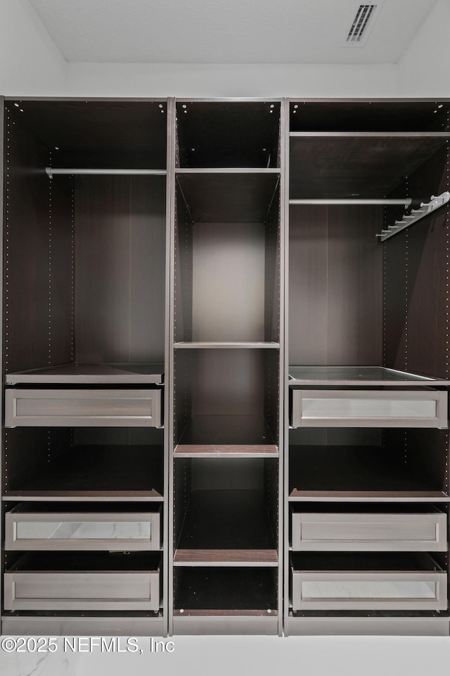 725 Carthage Pl, Saint Johns, FL 32259 - view of closet