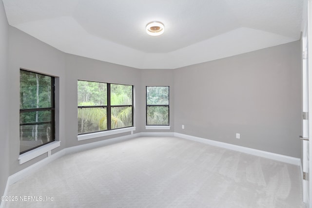 725 Carthage Pl, Saint Johns, FL 32259 - unfurnished room with carpet and baseboards