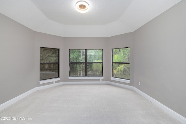 725 Carthage Pl, Saint Johns, FL 32259 - empty room featuring light carpet and baseboards