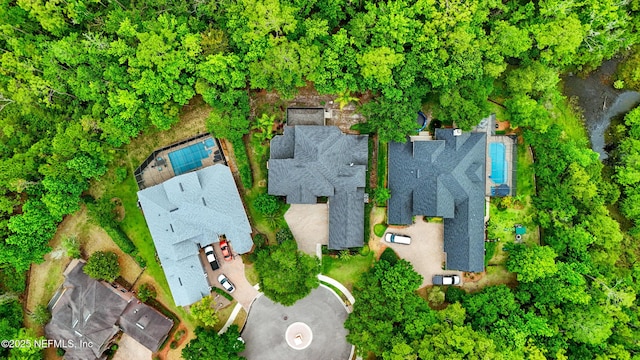 725 Carthage Pl, Saint Johns, FL 32259 - aerial view