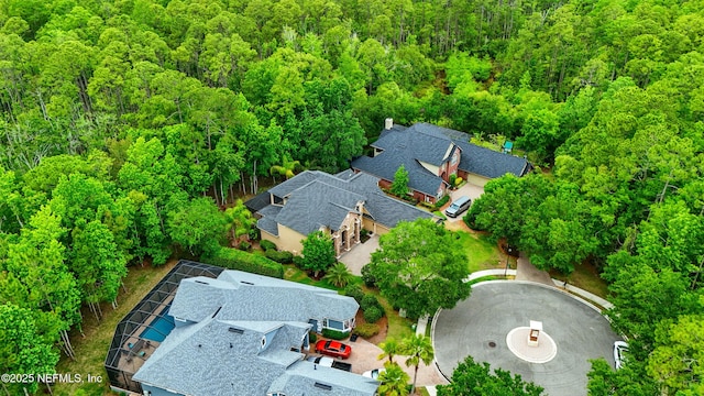 725 Carthage Pl, Saint Johns, FL 32259 - drone / aerial view of a forest