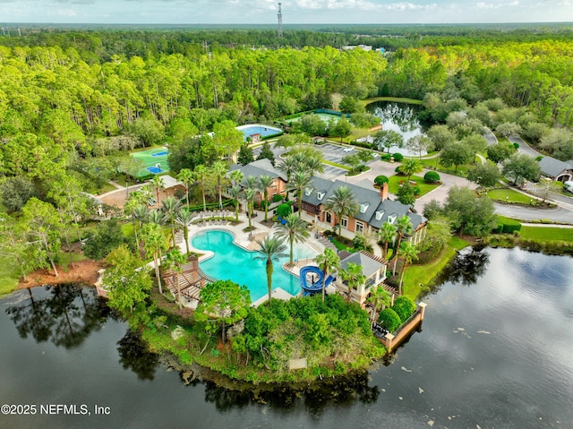 725 Carthage Pl, Saint Johns, FL 32259 - aerial view of a heavily wooded area, a large body of water, and a pool