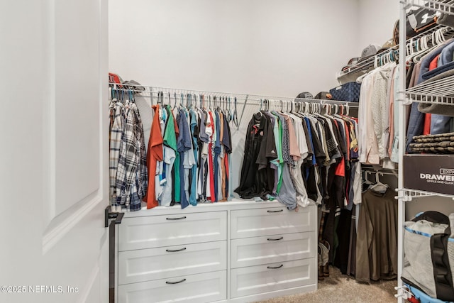 36039 Pitch Ln, Hilliard, FL 32046 - walk in closet with light colored carpet