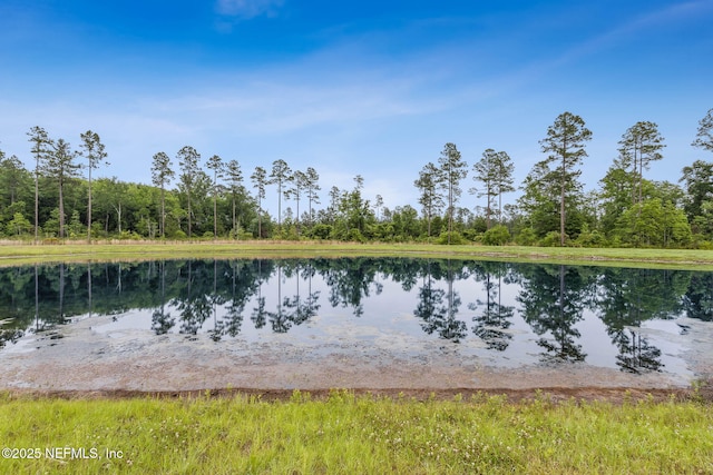36039 Pitch Ln, Hilliard, FL 32046 - water view with a heavily wooded area