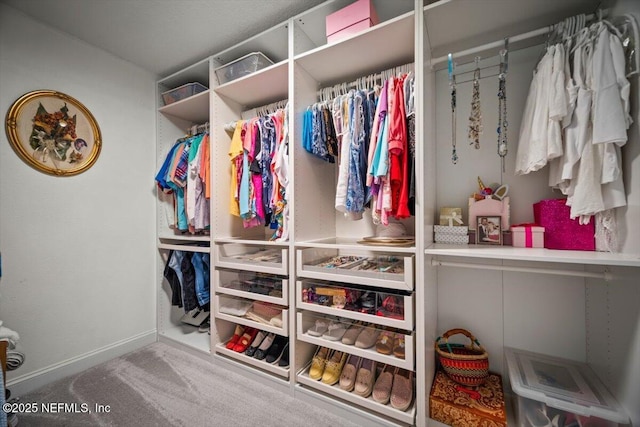 spacious closet featuring carpet flooring
