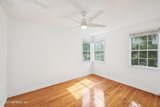 1733 Geraldine Dr, Jacksonville, FL 32205 - photo 14