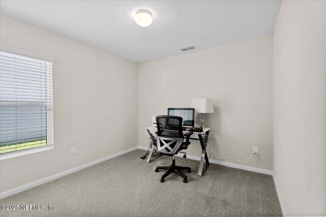 4888 Big Pine Dr, Jacksonville, FL 32218 - photo 29