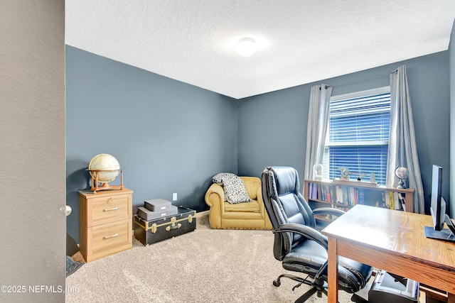 2471 Cold Stream Ln, Green Cove Springs, FL 32043 - office space featuring carpet flooring and a textured ceiling