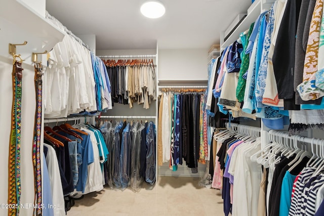 view of walk in closet