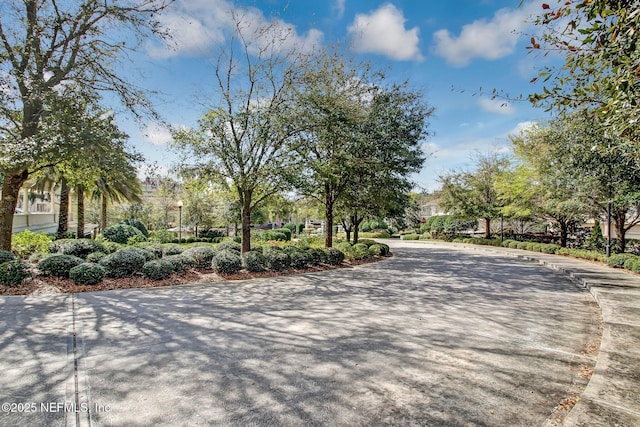 view of concrete road