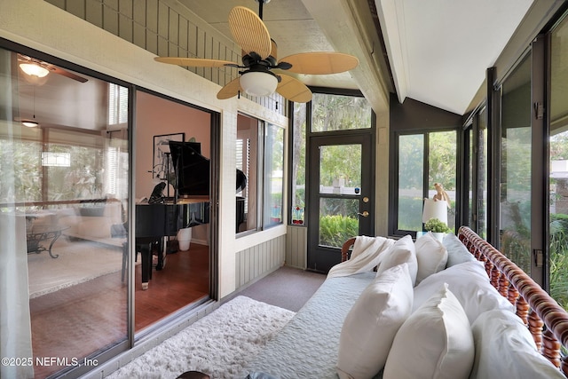 sunroom / solarium featuring a ceiling fan and carpet