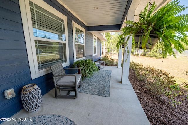 view of patio / terrace with a porch