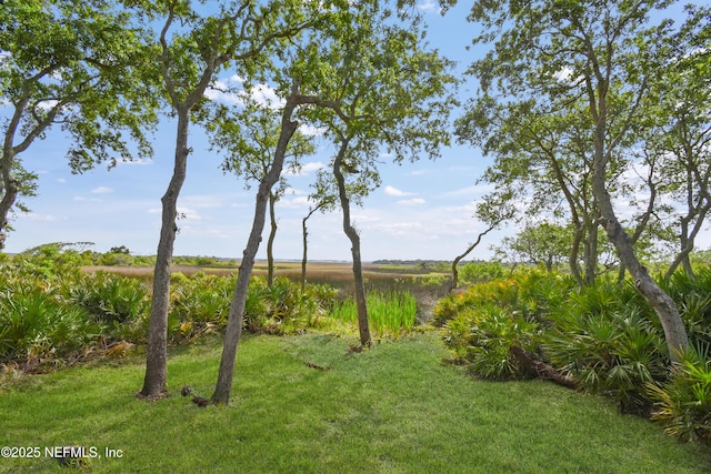 1125 S Marsh Wind Way, Ponte Vedra Beach, FL 32082 - photo 49