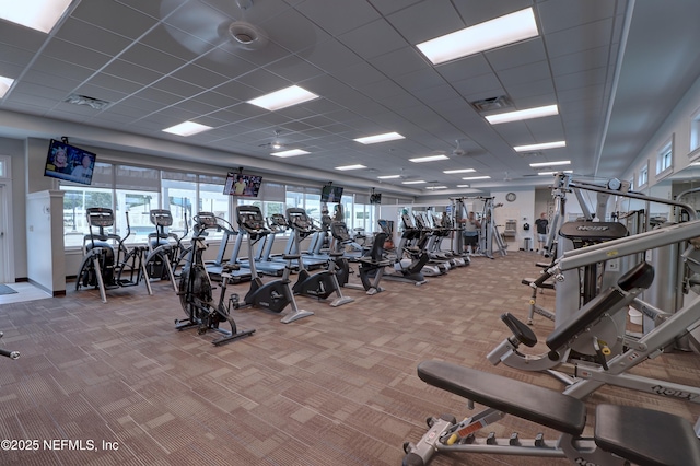 14526 Starbuck Springs Way, Jacksonville, FL 32258 - workout area featuring carpet floors and a drop ceiling